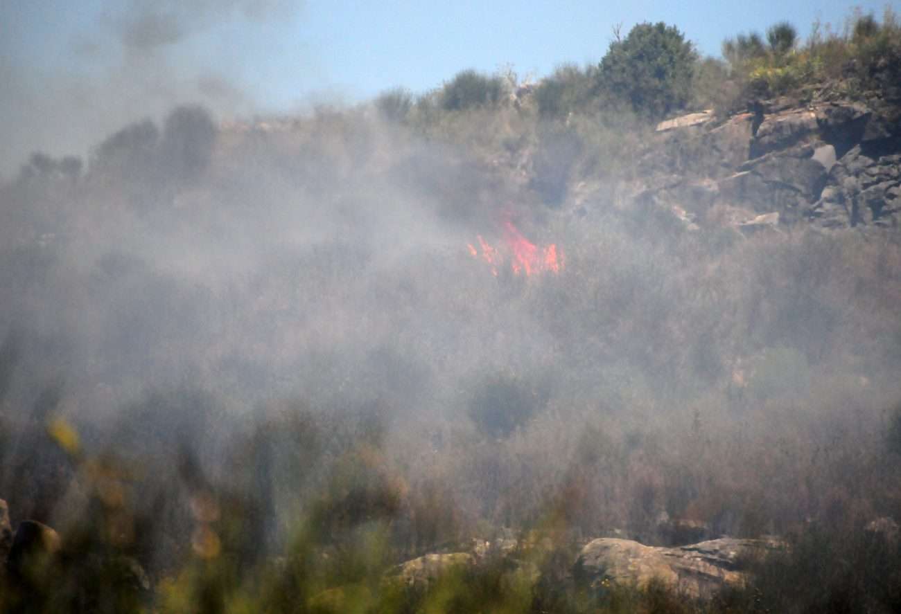 Hay riesgo extremo de incendios forestales y preocupa a los bomberos la cantidad de intervenciones diarias