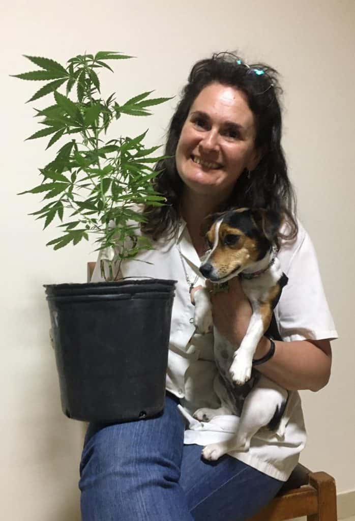 Animales y veterinarios siguen aguardando que la legislación los ampare en el uso del cannabis terapéutico