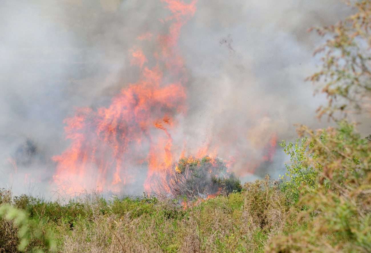 Las altas temperaturas volvieron a activar la alarma de los incendios forestales en la zona