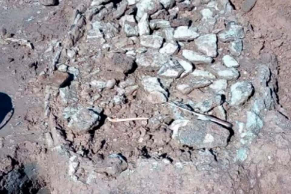 Arqueólogos de la Unicen investigan restos de gliptodontes en Trenque Lauquen