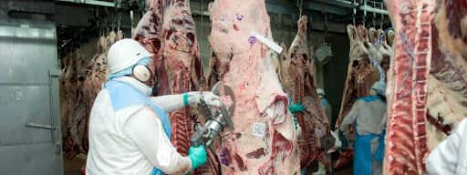 El Gobierno cerró las exportaciones de carne por 30 días y el campo reaccionó con un paro total y rotundo