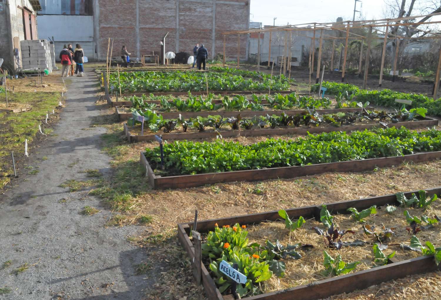Agroecología en Villa Aguirre, una rica experiencia de vergel comestible, aprendizaje y ensamble vecinal