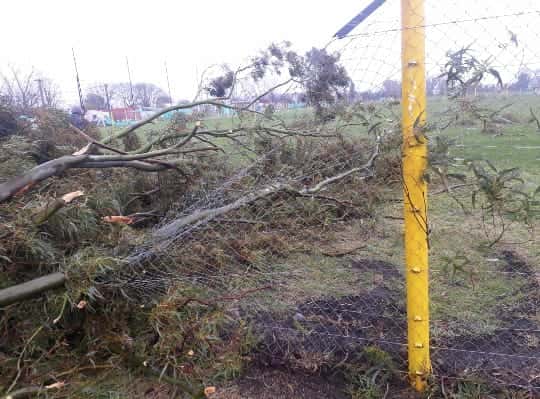 El temporal también causó daños en el predio de Santamarina