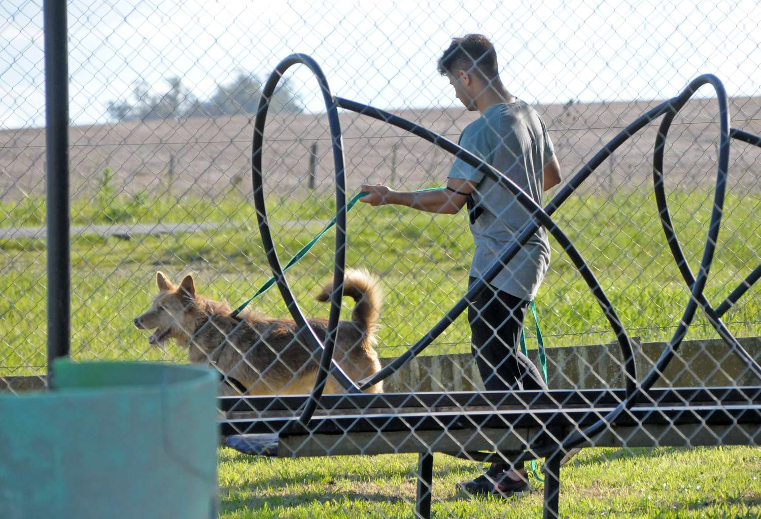 Zoonosis: sin veterinarios no hay salud pública