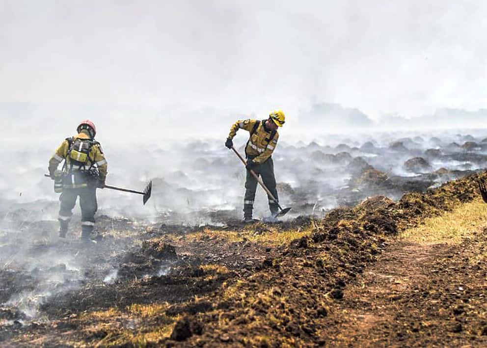 Estimaron en más de 26 mil millones las pérdidas por los incendios en el Litoral