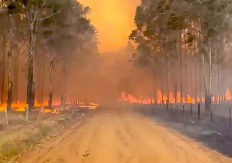 Con distintas perspectivas, dos tandilenses reflejaron cómo viven los incendios en Corrientes desde adentro