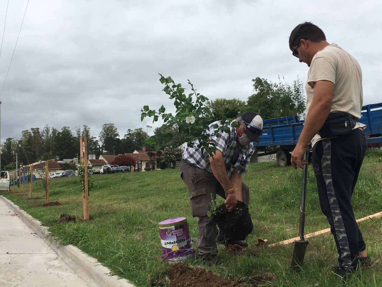 A paso firme, avanza el Plan Forestal del Bicentenario