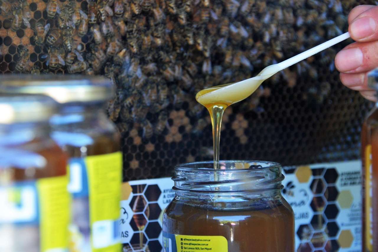 Los fraccionadores de miel se unieron en busca de ampliar el sector y conseguir el propio sello de calidad