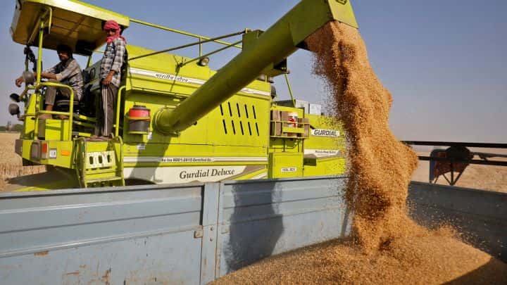 Fuerte aumento del precio del trigo tras el cierre de las exportaciones de la India
