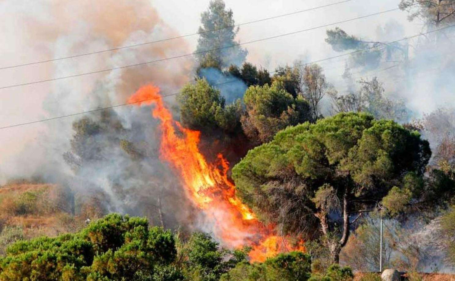 Estudio señala que los incendios forestales se duplicaron en el mundo en los últimos 20 años