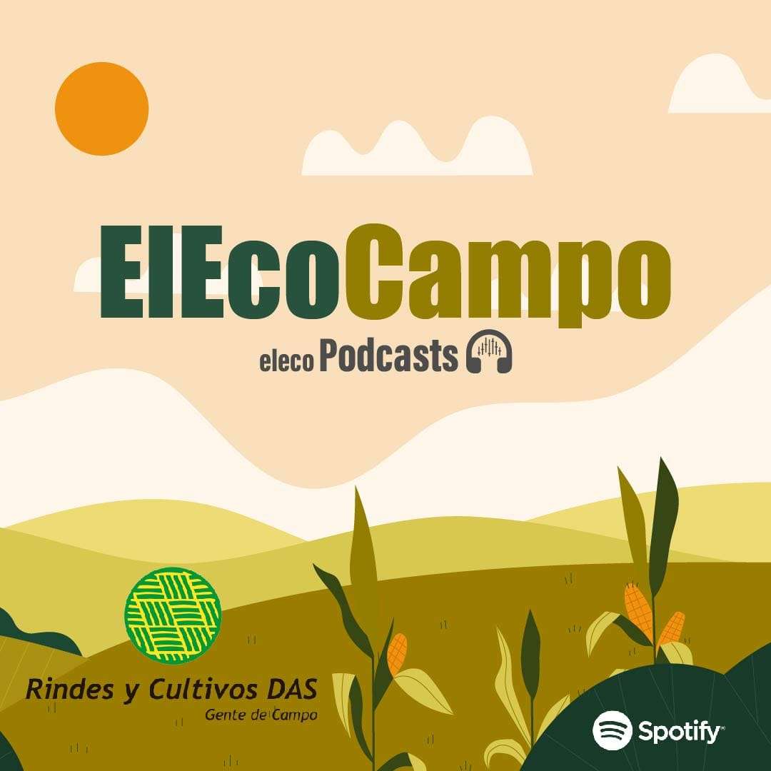 El Eco Podcast - 3