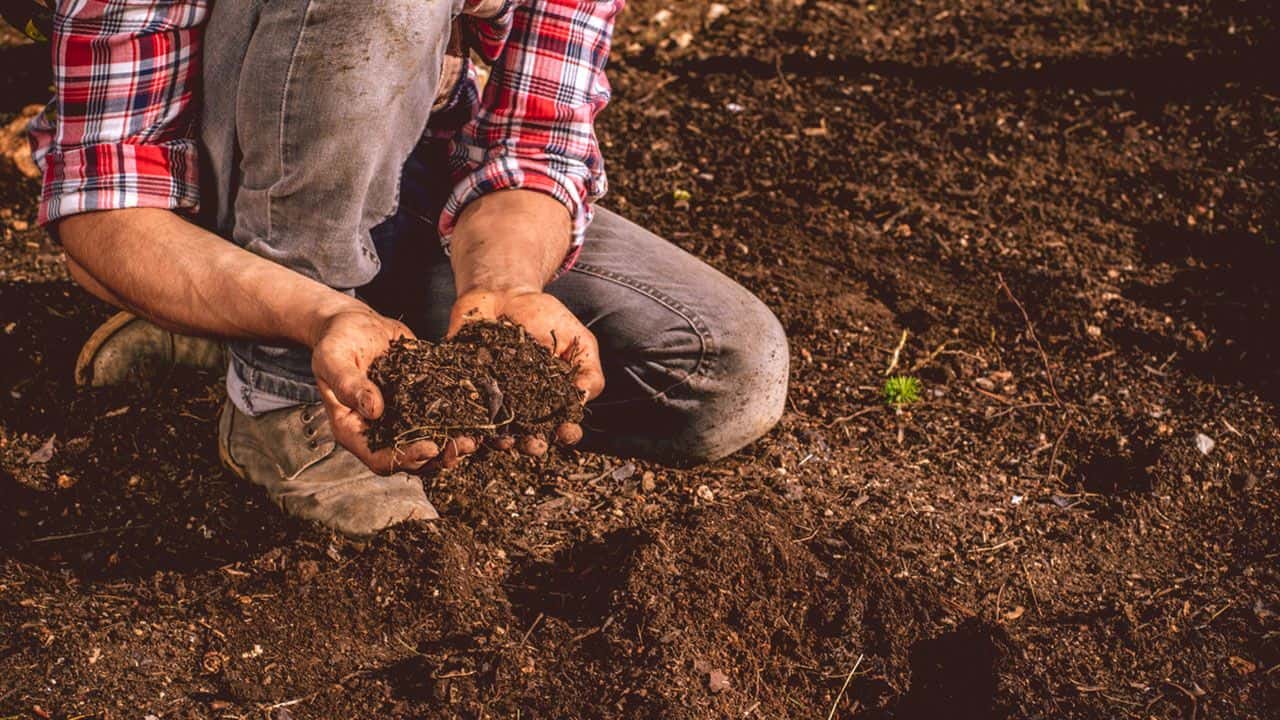 HUERTA DOMICILIARIA: evaluar, reconocer y adaptar las condiciones del suelo