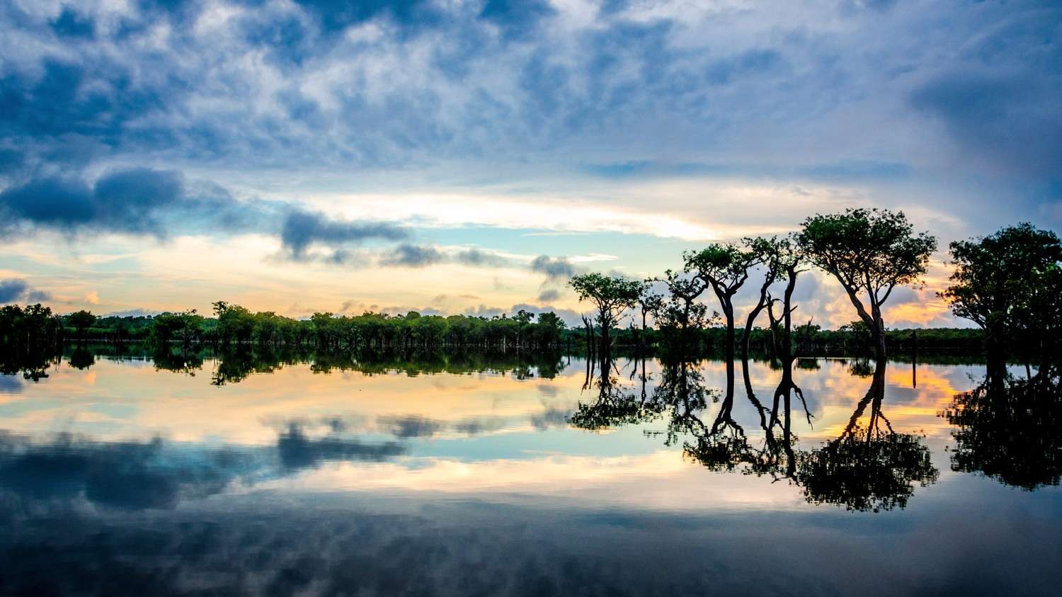 Camino a una Amazonía sostenible