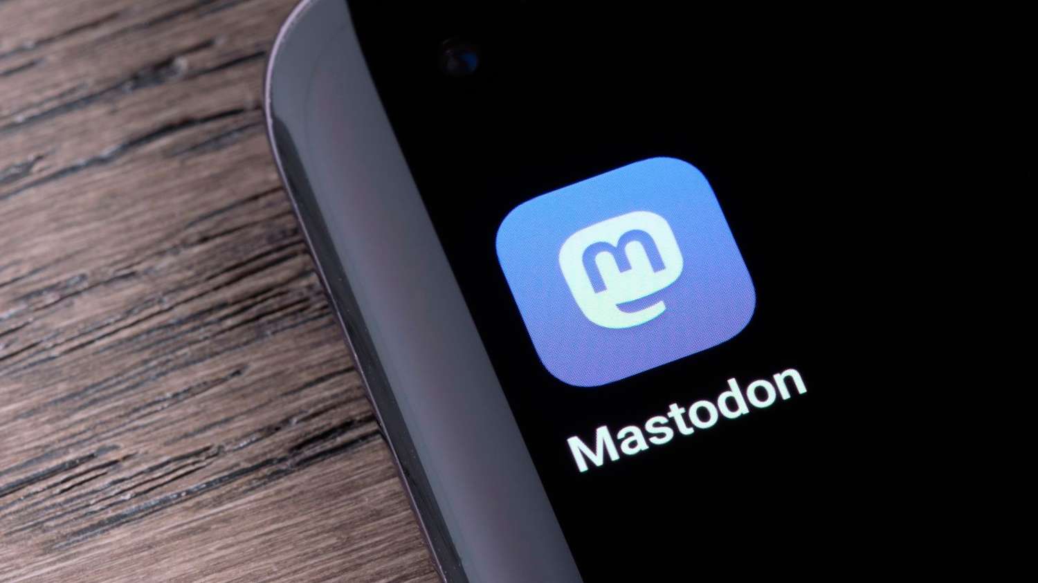Mastodon, la plataforma a la que migran usuarios por los problemas con Twitter