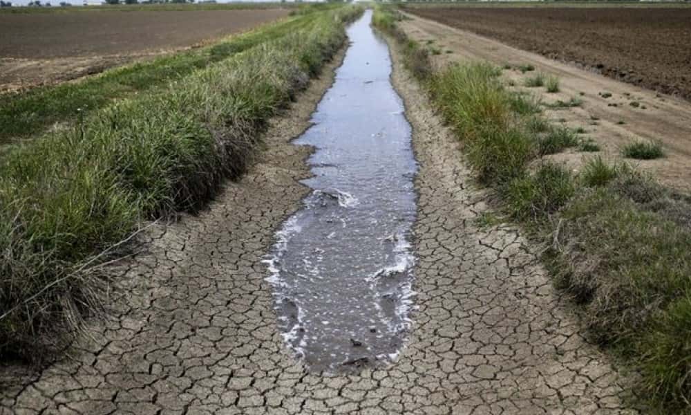 Por la sequía en el campo, el Municipio convocó a la Comisión Local de Emergencia Agropecuaria