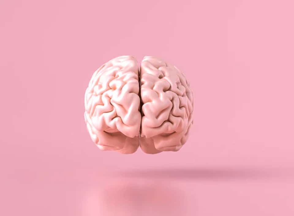 Qué es el sistema cerebral de la recompensa