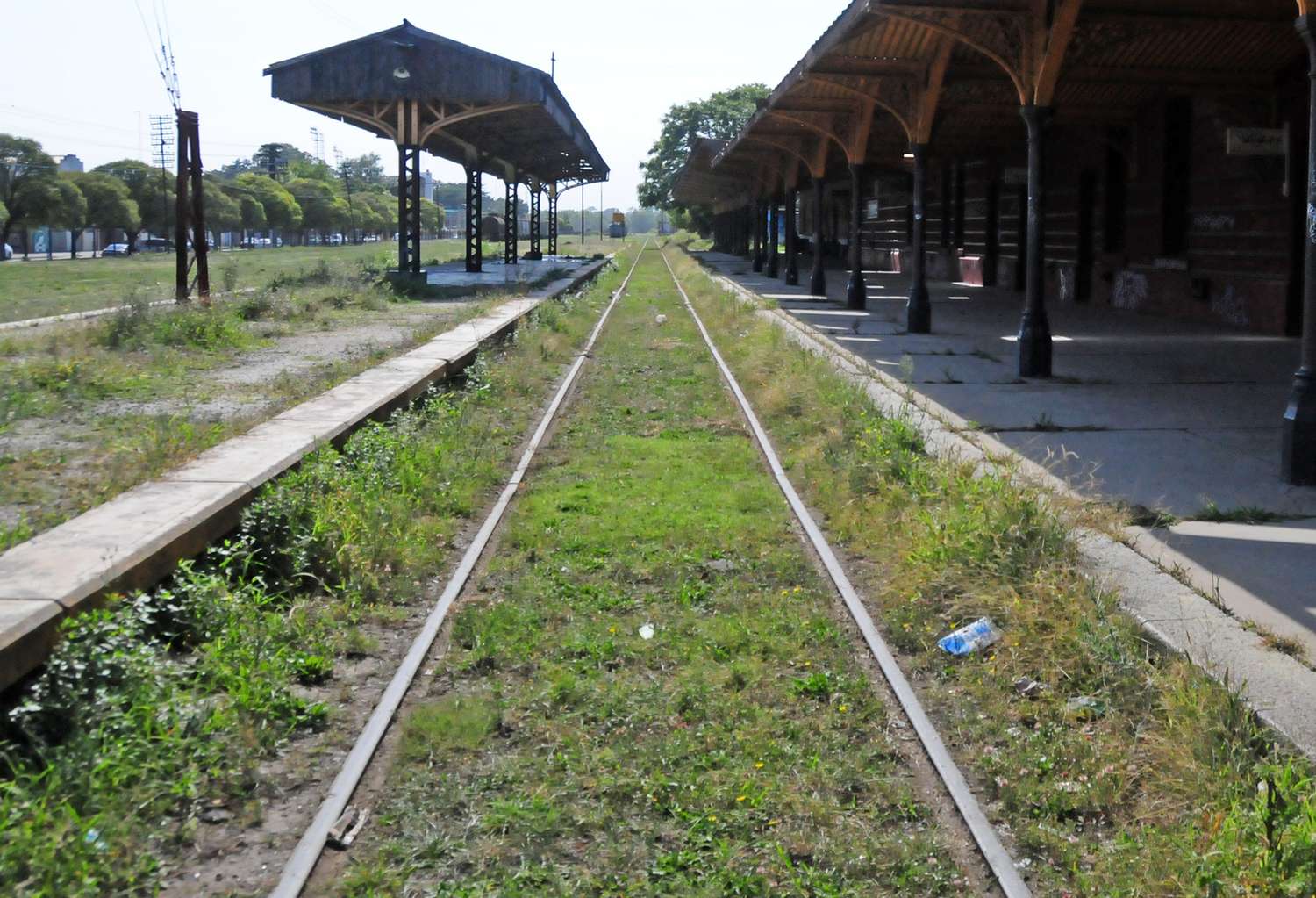 No vuelve el tren a Tandil: “Es una decisión política del presidente Milei”