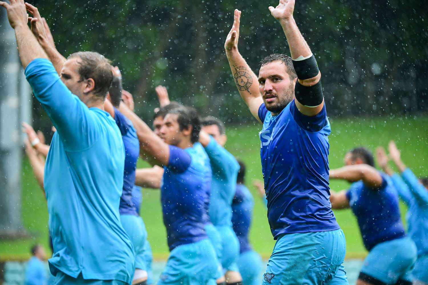 Ignacio Calles estará en el camp dirigido por Cheika.