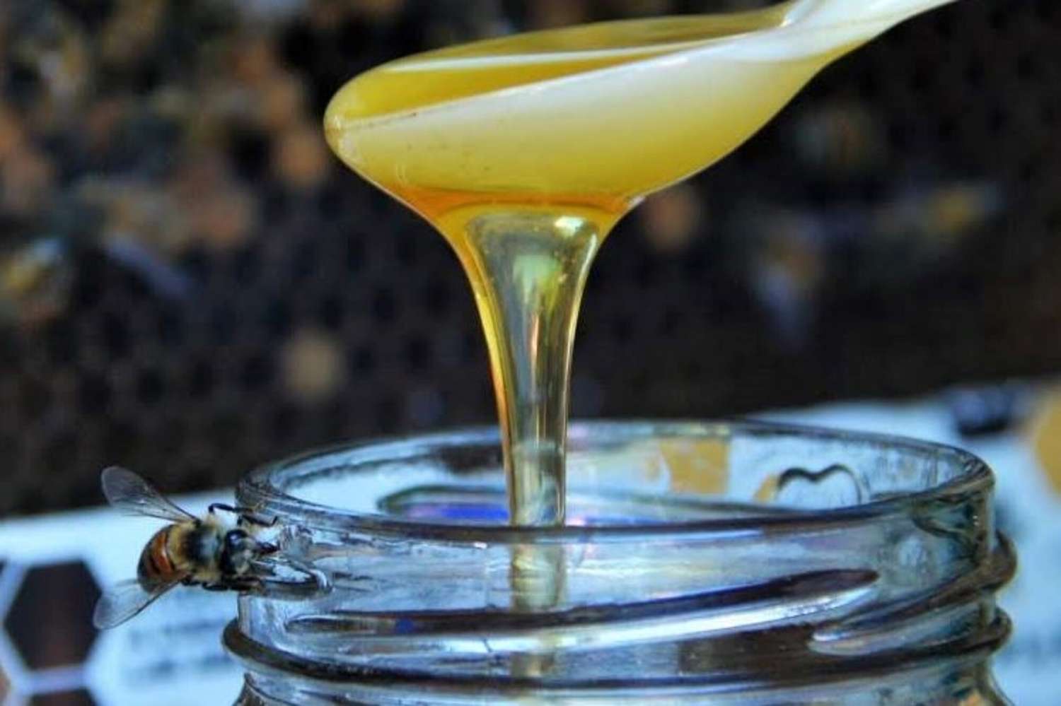 Una empresa tandilense exportó miel a Estados Unidos por primera vez