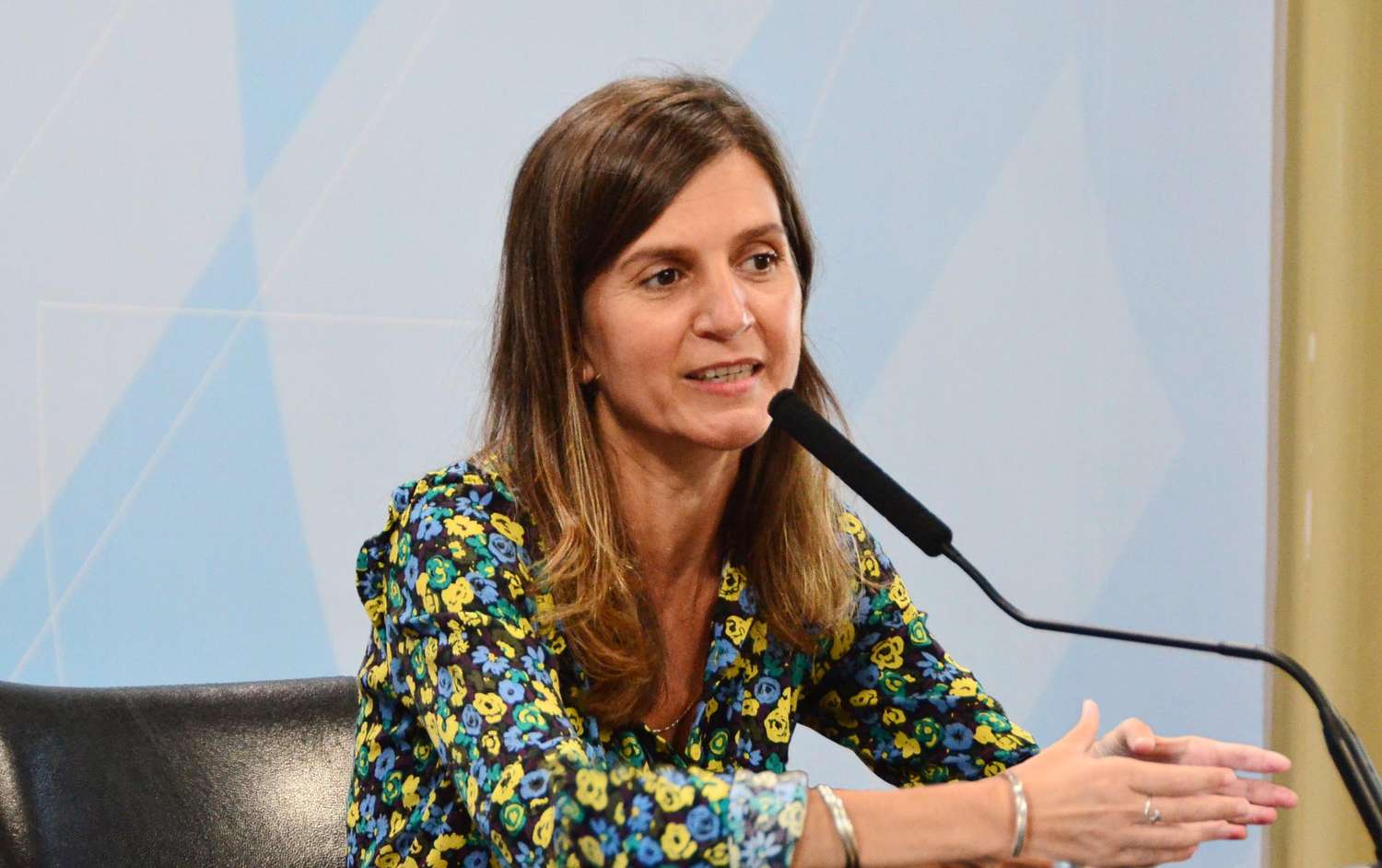 Fernanda Raverta, directora ejecutiva de Anses.