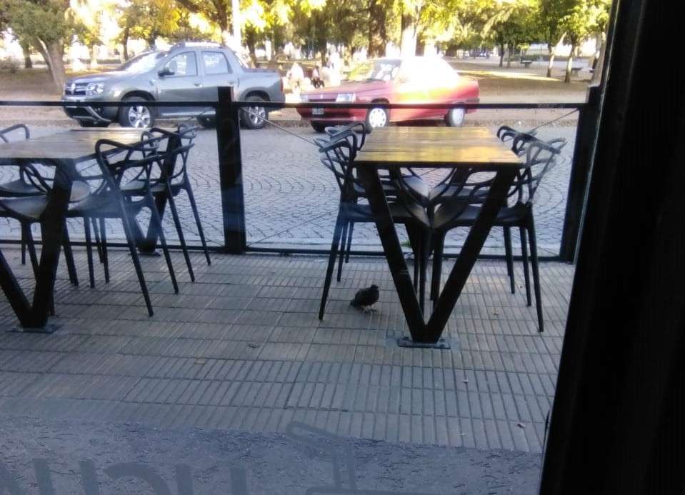 Supervivencias
