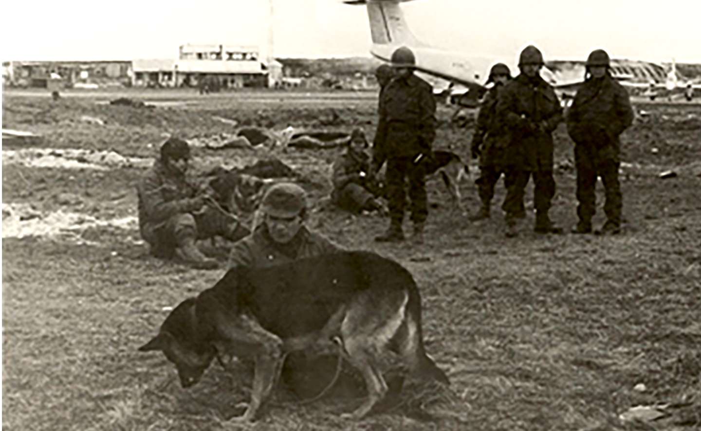 Mortero, la historia del heróico y acompañante perro de Malvinas