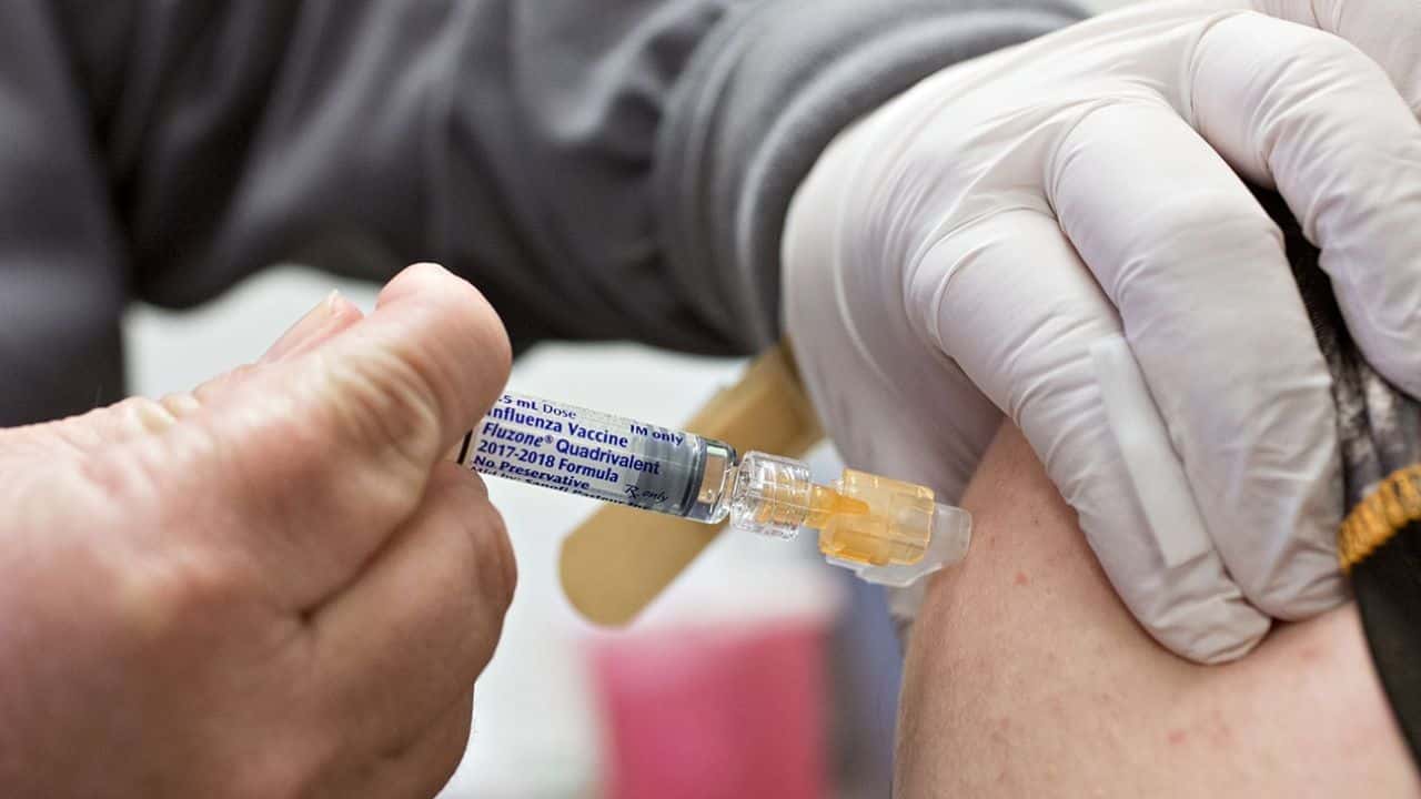 Ministerio de Salud reforzó recomendaciones de vacunación contra la fiebre amarilla para viajantes