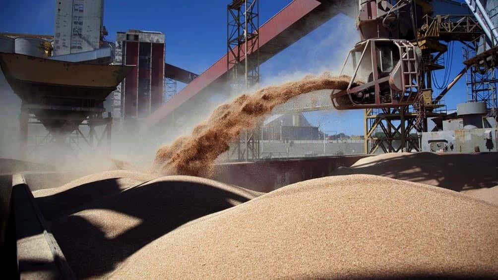 La exportación de granos podría crecer 33 por ciento en el 2024