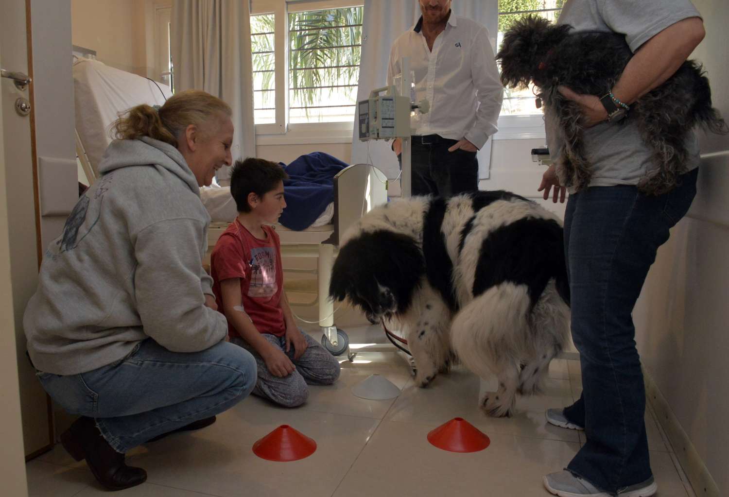 Terapia asistida con perros, una experiencia que multiplica beneficios en el Hospital de Niños