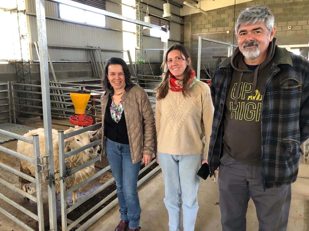 Así trabajan productores ovinos y la Facultad de Veterinarias para potenciar el sector a nivel local
