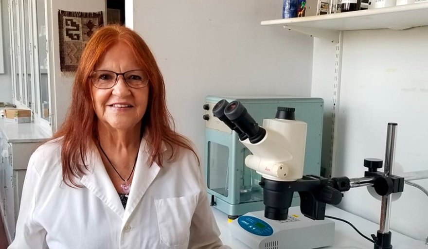 Alzheimer: "Hay muchas investigaciones en el último tiempo pero todavía estamos lejos de la cura"