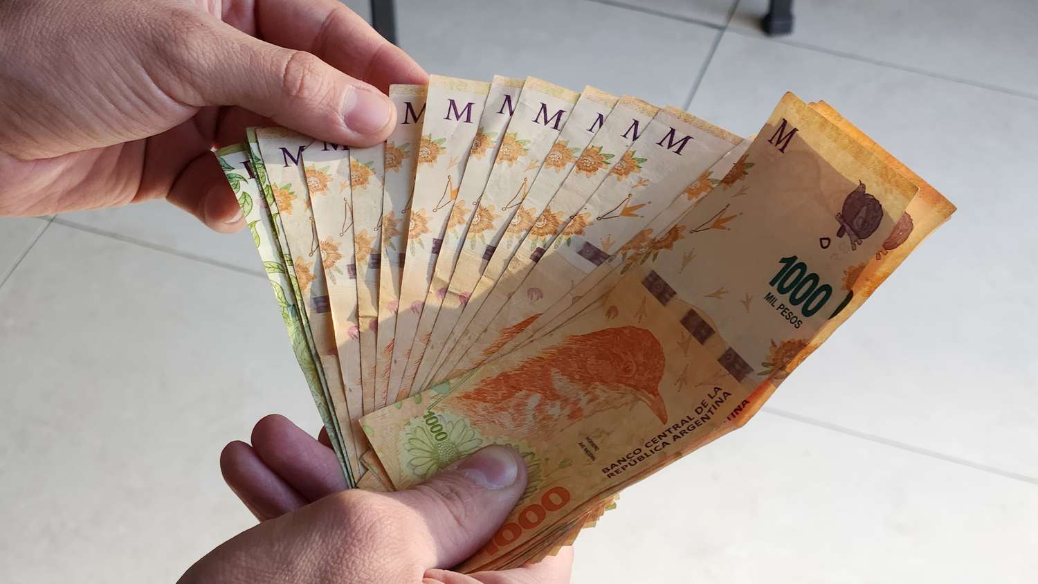 Aumentan los créditos de Anses: se podrá pedir desde 600 mil pesos hasta 1 millón de pesos