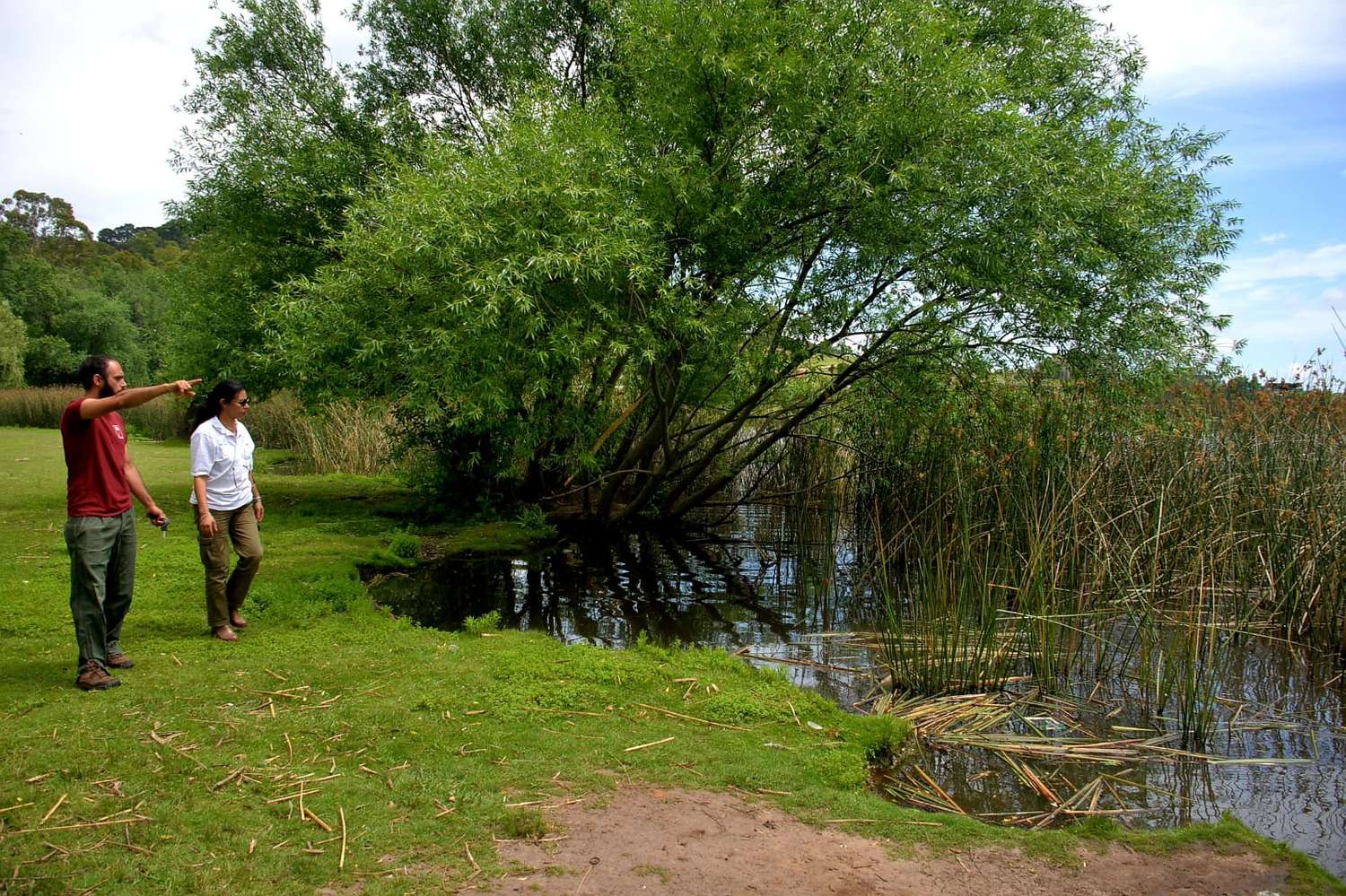 Funcionarios provinciales de Flora y Fauna recorrieron la zona del Lago por la situación del carpincho
