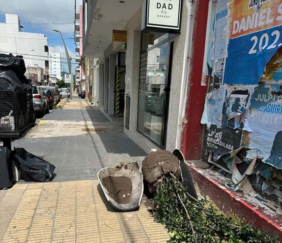Caminaban por la calle y en un acto de vandalismo rompieron el macetón de un local céntrico