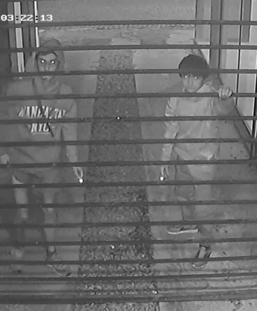 Dos jóvenes robaron en una cochera y quedaron "escrachados" por las cámaras de seguridad
