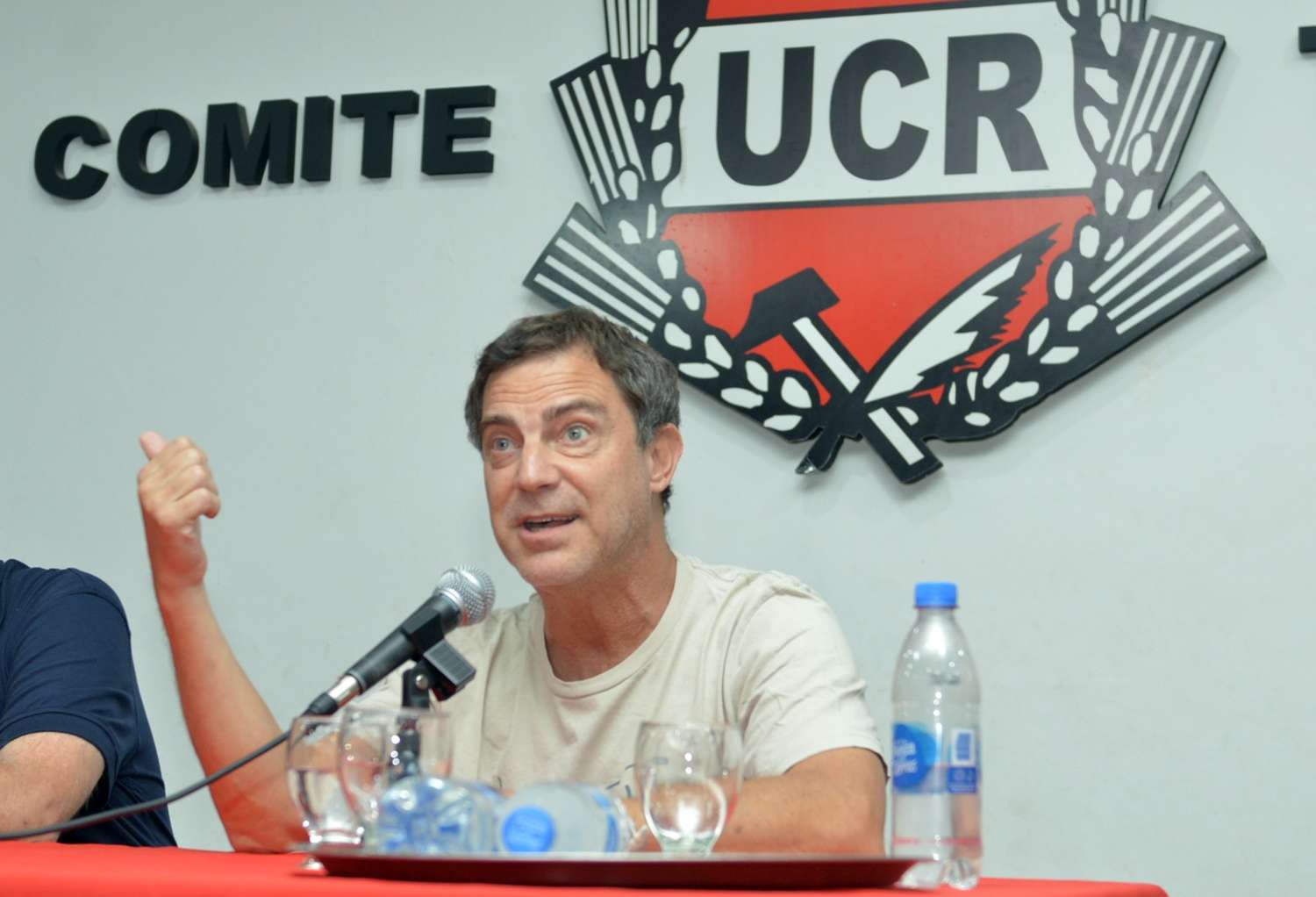 Andrés Malamud disertó en el comité radical.