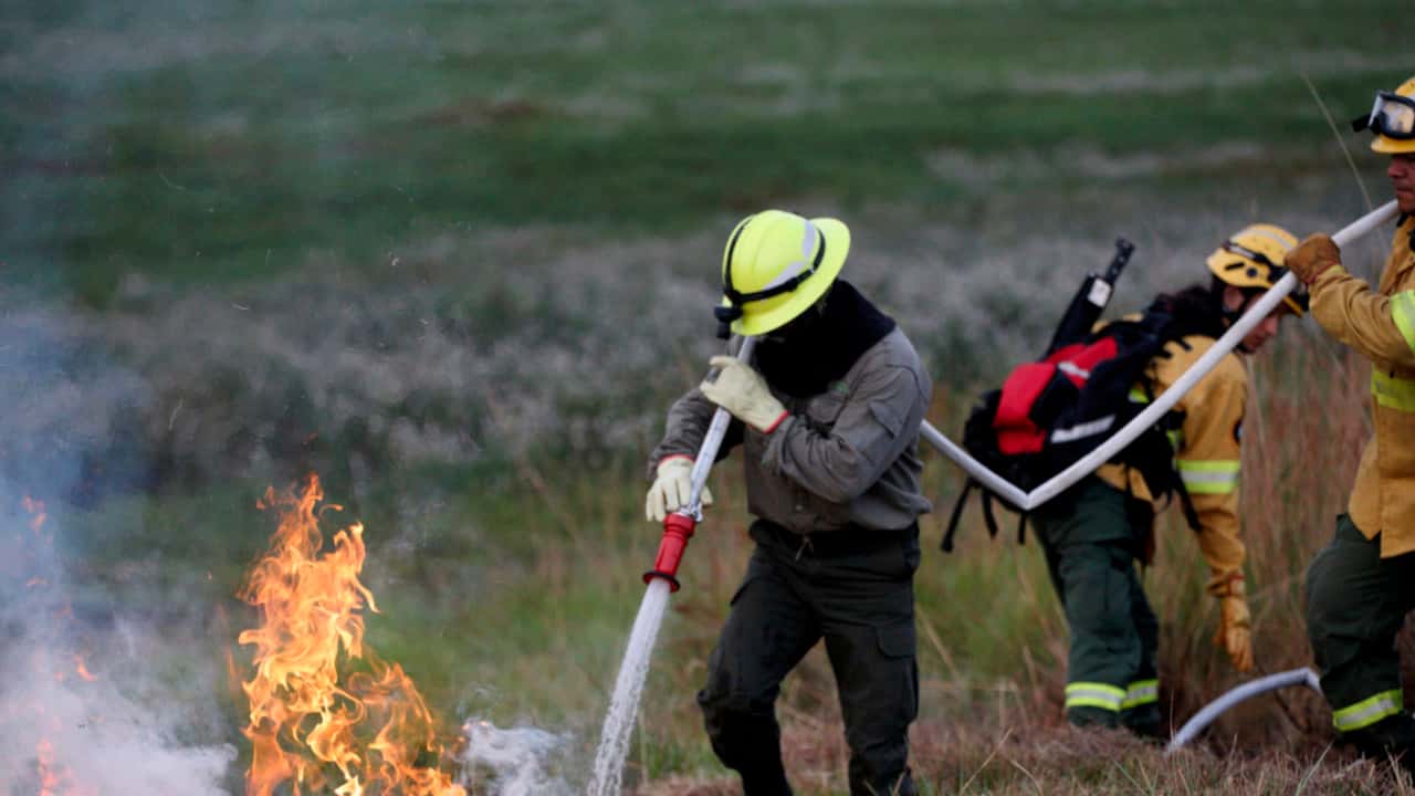 Bomberos trabajando sobre un campo con focos de fuego