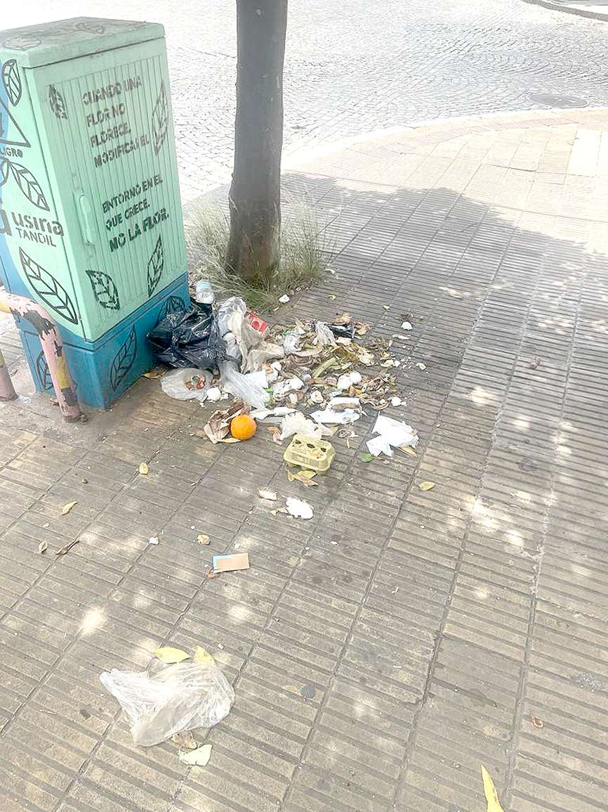 Una vecina reclamó por falta de higiene en Yrigoyen y Sarmiento