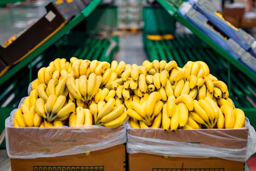 Rusia prohibió la importación de bananas de Ecuador tras diferencias por armas para Ucrania