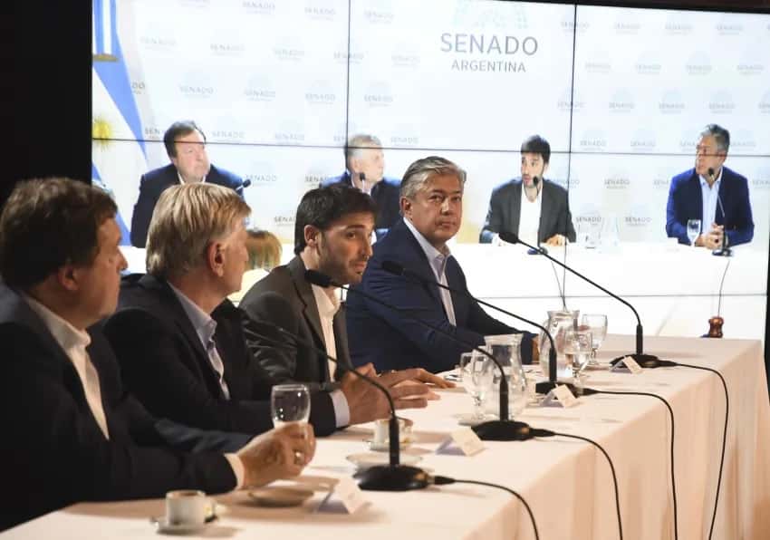 Gobernadores de las provincias patagónicas, en conferencia de prensa en el Senado nacional.