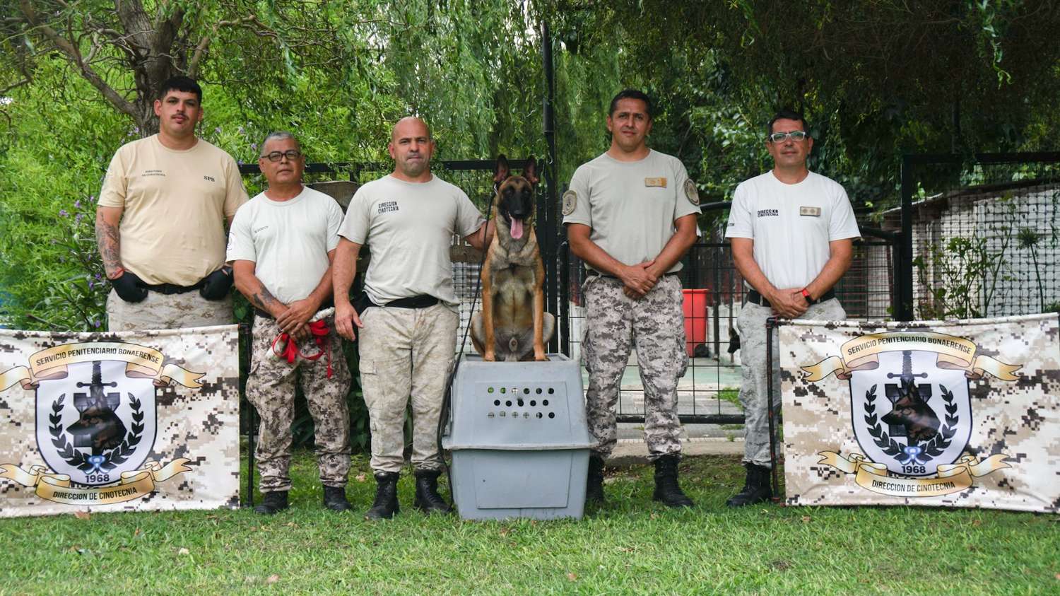 El Servicio Penitenciario Bonaerense (SPB) incorporó a sus filas 13 perros detectores de estupefacientes de raza pastor belga malinois.