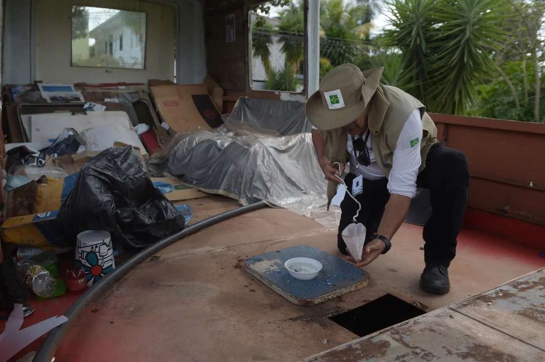 Las principales víctimas mortales del dengue en Brasil son menores