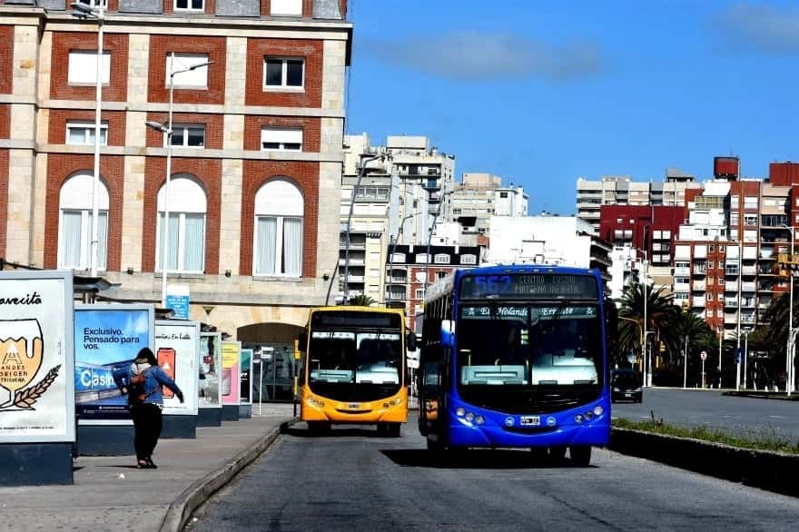 Comenzó a regir el nuevo valor de boleto de colectivo en Mar del Plata: ¿Cuánto cuesta?