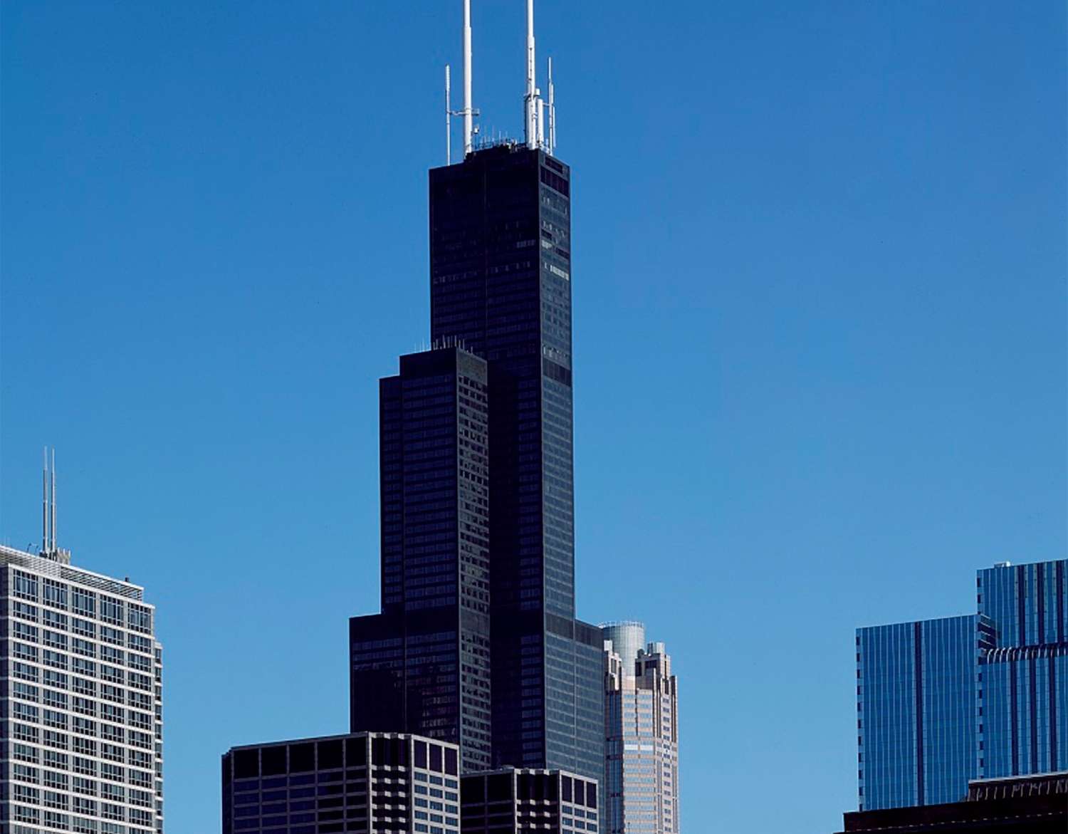 Torre Willis, Chicago