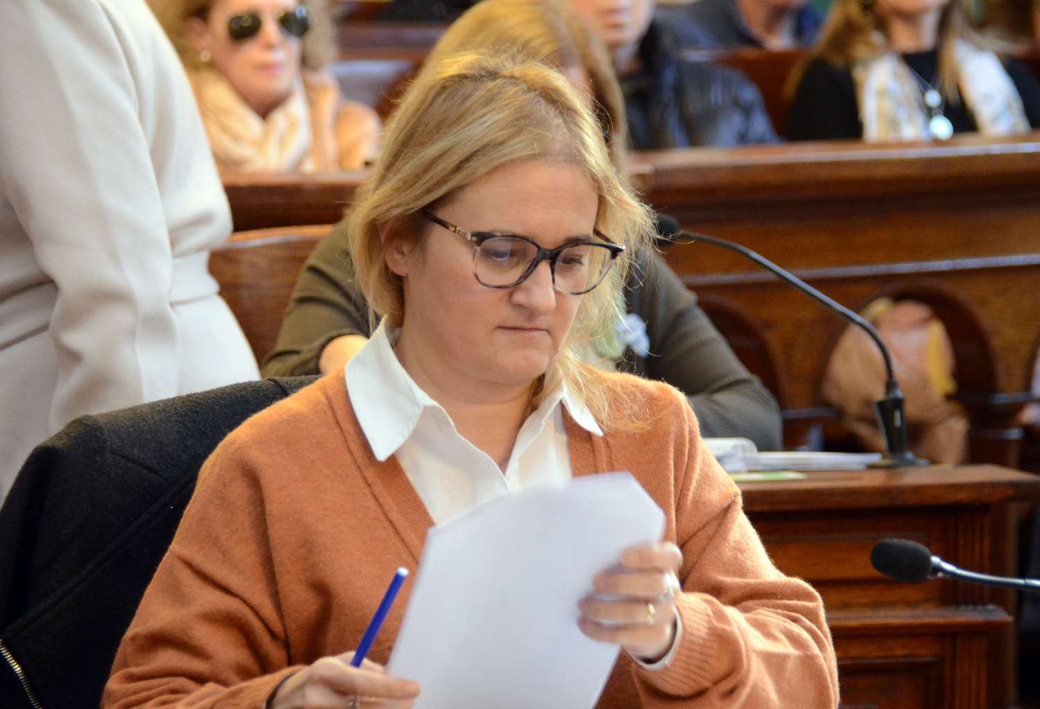 Maridé Condino ofició de relatora del análisis avalado por mayoría en la Comisión de Economía.
