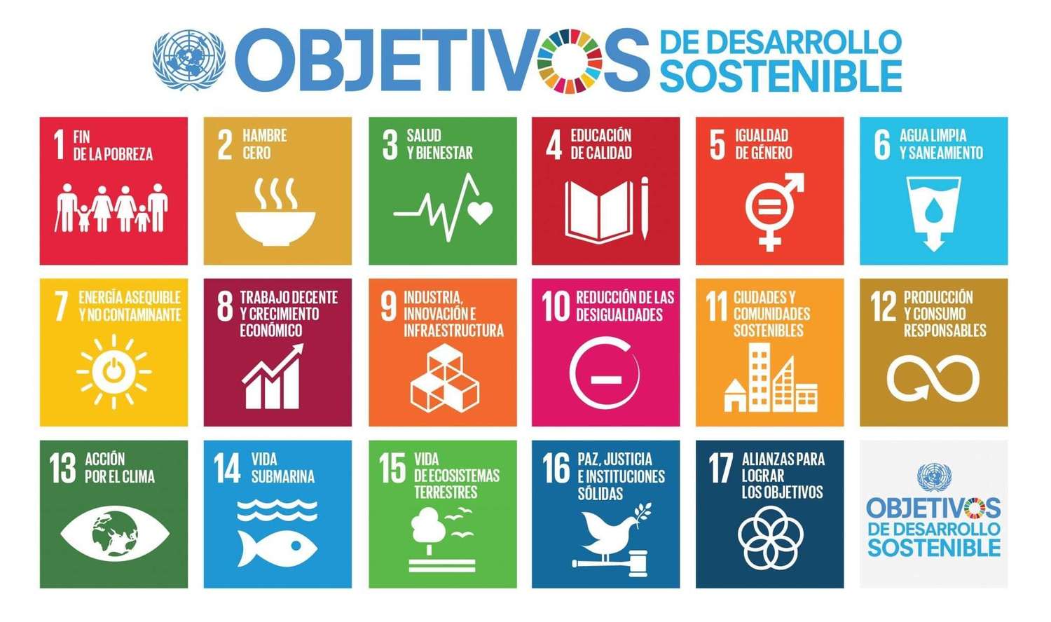 Qué son los Objetivos de Desarrollo Sostenible y cómo las empresas pueden incorporarlos