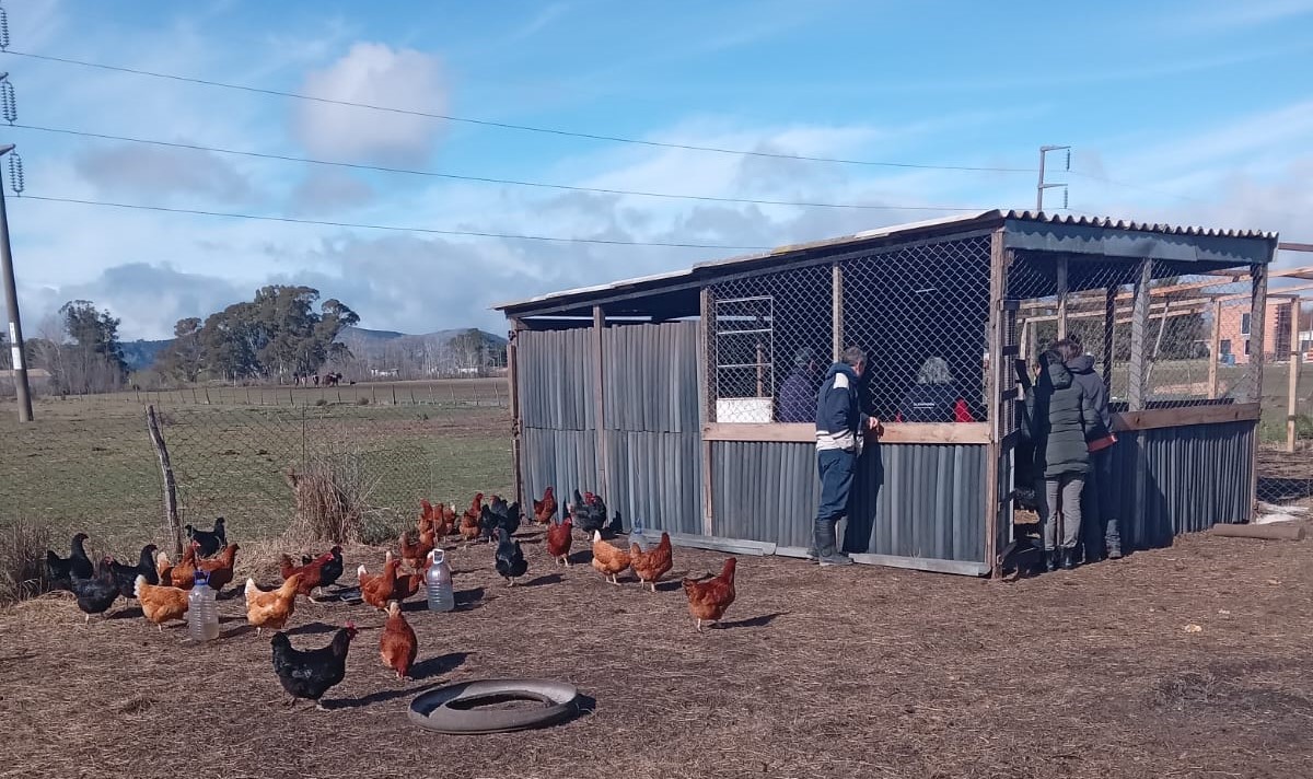 INTA: tras el cierre de Cambio Rural, alerta por posibles nuevos despidos y venta de tierras