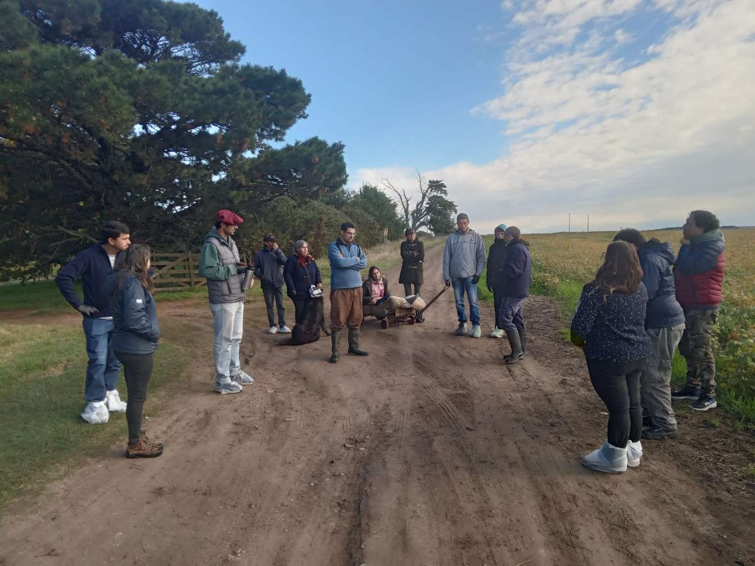 Fin del programa Cambio Rural: despidos en Tandil y proyectos truncados con emprendedores rurales
