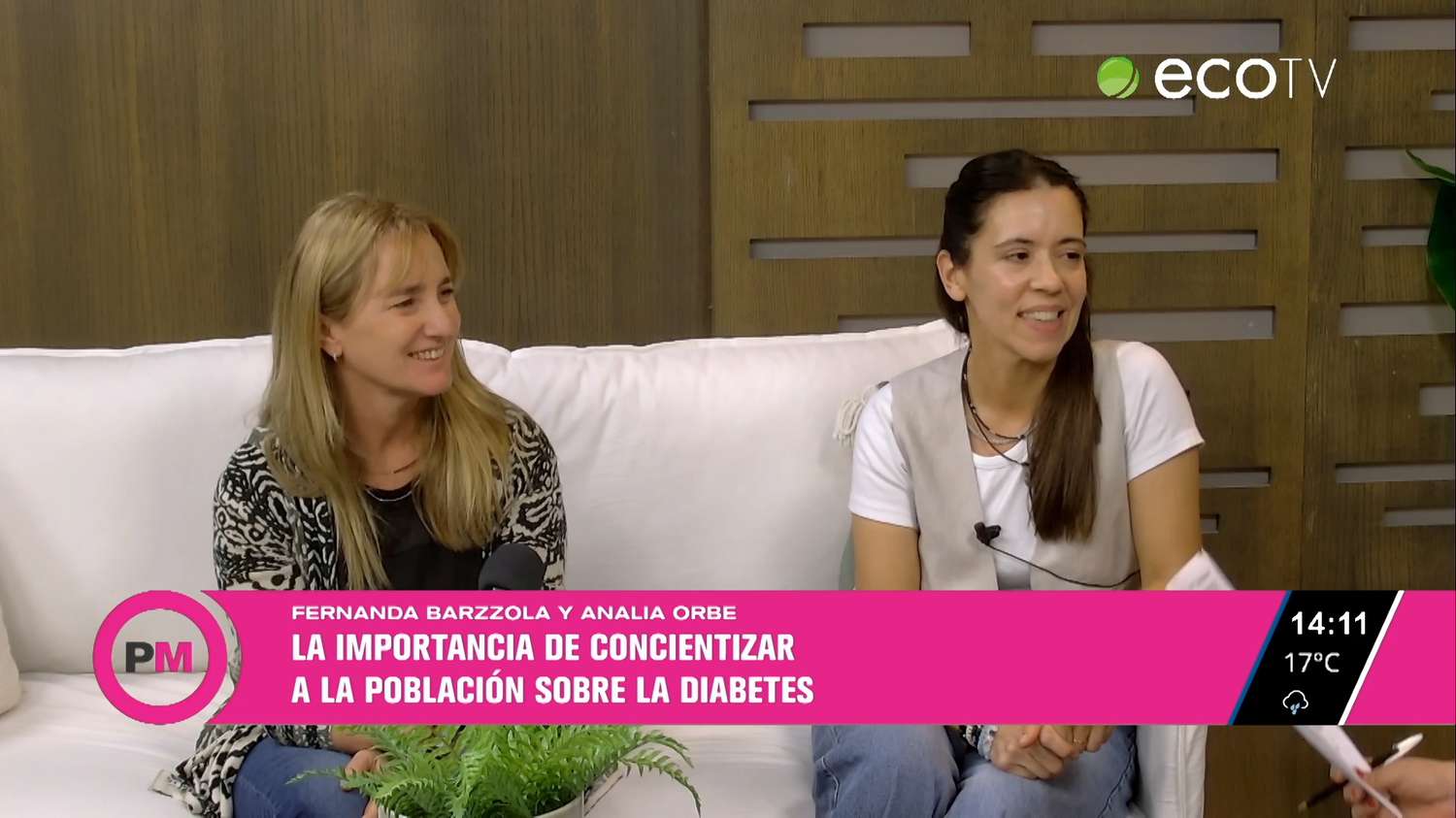 Correcaminata por la concientización sobre la diabetes