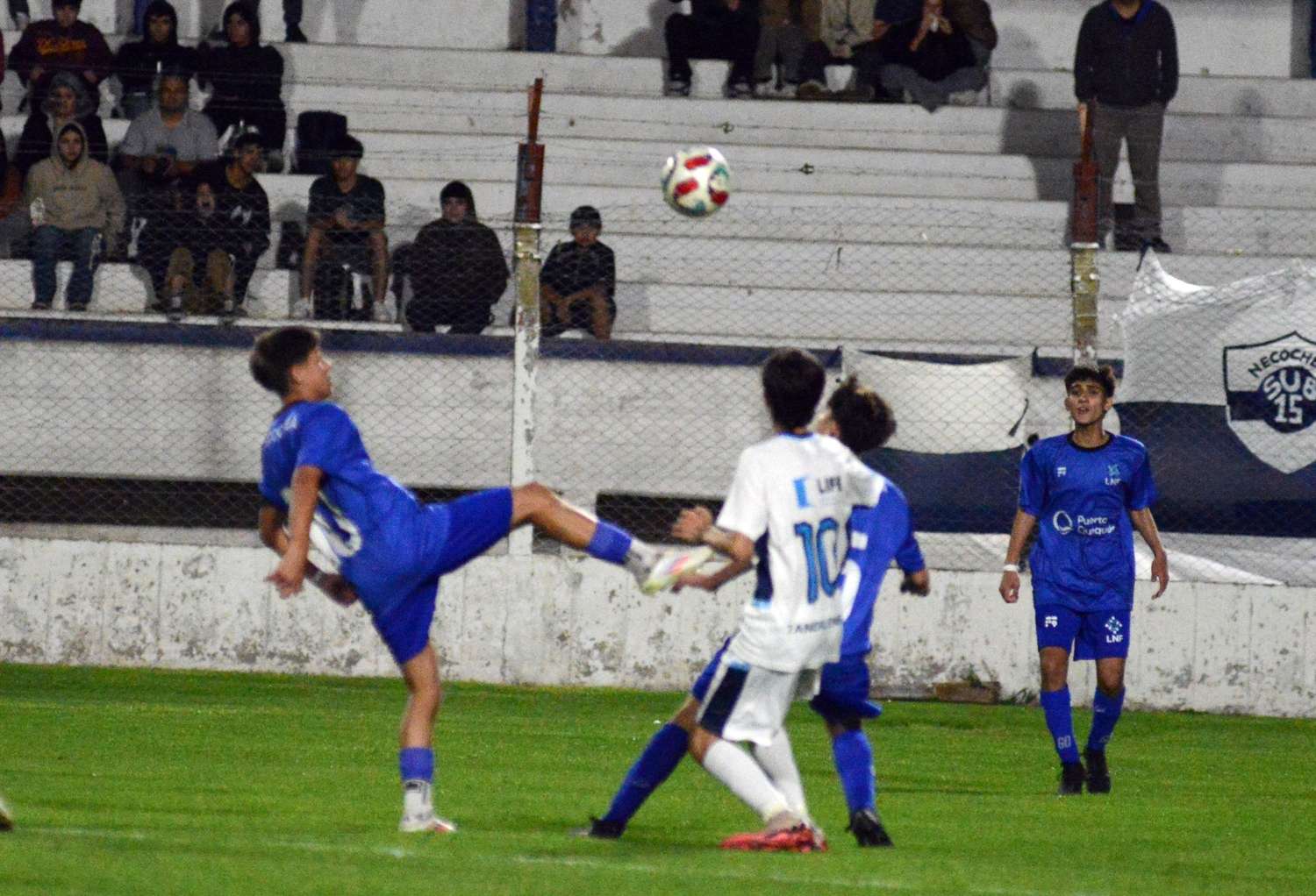 Los seleccionados tandilenses se juegan un lugar en las finales